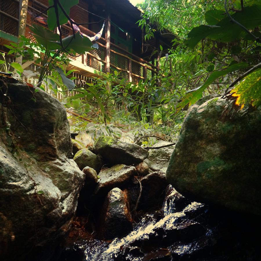 Pousada Sitio Dos Tucanos Florianópolis 외부 사진