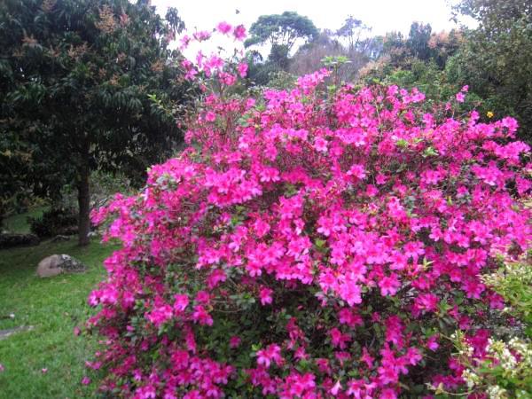Pousada Sitio Dos Tucanos Florianópolis 외부 사진