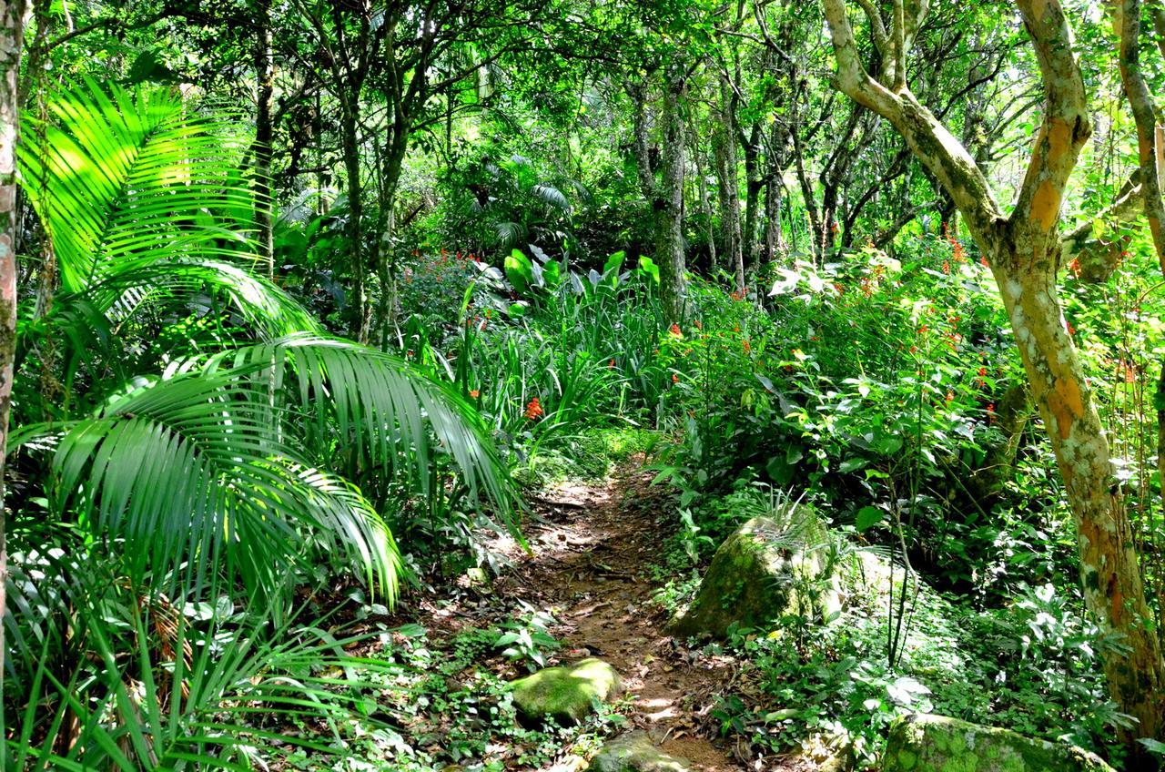 Pousada Sitio Dos Tucanos Florianópolis 외부 사진